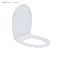    IDDIS 004PPS3i31, , , 