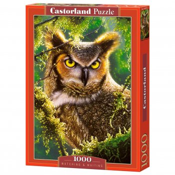    , 1000 
