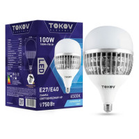   tokov electric, e40/e27, 100 , 6500 ,   