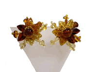 ����� ��� ������ "Euro" ������� 10