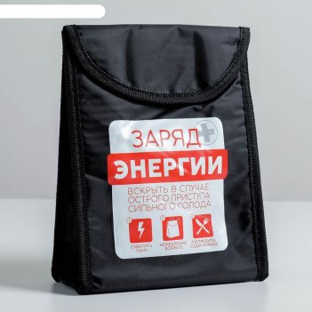 Термосумка заряд энергии, 25 х 19,5, х 8 см