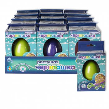 1toy  ,   .  6., 12  