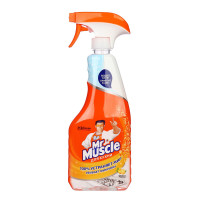     mr.muscle  , 500 