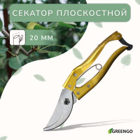  , 8 (20 ),   , , greengo