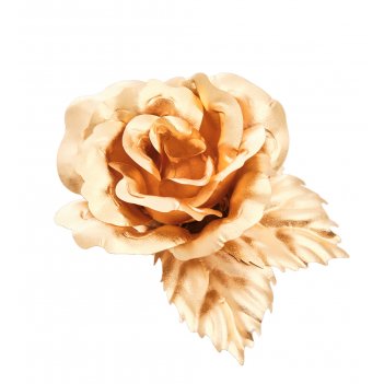 Ga-br-01 ����� �����