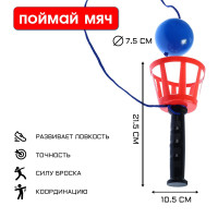   ,  d-10.5 ,  d-7.5 
