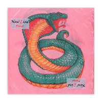   new line fresco    2 , 3333, 20 .