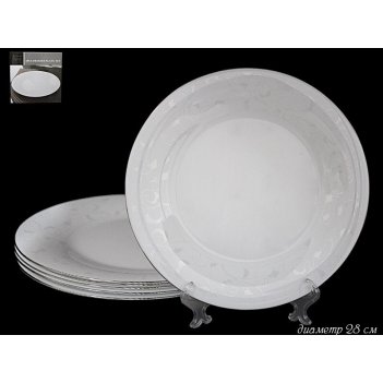    28  lenardi  , ,  , , 1 
