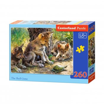    , 260 