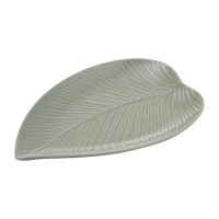   in the forest leaf  -