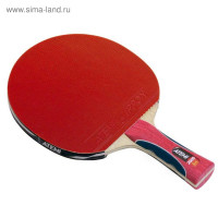     atemi pro 2000 an