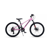  24 maxiscoo 7bike m300,  