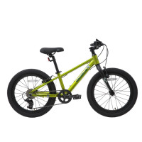  20 maxiscoo 5bike,   ,  m
