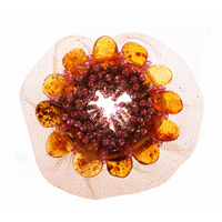 ����� 2 ������ ���� �/� �������