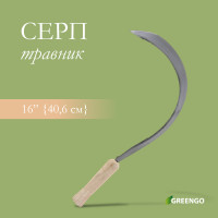  , 16 (40.6 ),   2 ,  , greengo